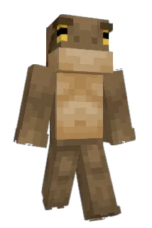 brunon Minecraft avatar full body