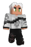 brwnin Minecraft avatar full body