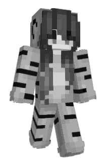 brxcho Minecraft avatar full body