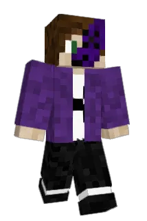 brxniscool Minecraft avatar full body