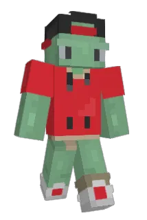 bturtle13 Minecraft avatar full body