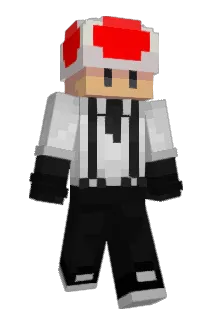 btwstormzy Minecraft avatar full body