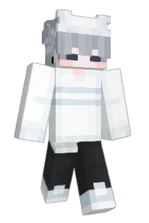bu_ding429 Minecraft avatar full body