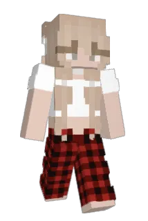 bubba270684 Minecraft avatar full body