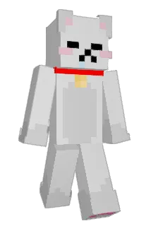 bubblenuggget2 Minecraft avatar full body