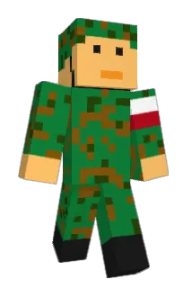 bubson3102 Minecraft avatar full body