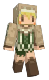 Custom render preview