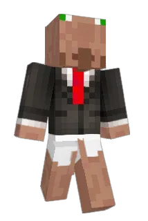 buckche Minecraft avatar full body