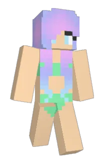 budz123 Minecraft avatar full body