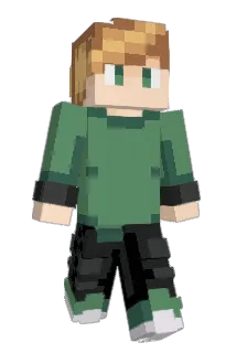 buffalowings42 Minecraft avatar full body