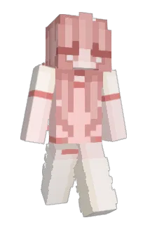 bukkidss Minecraft avatar full body