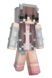 bumblebee2967 Minecraft avatar full body