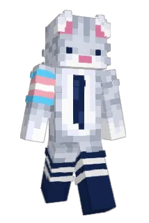 bunkid Minecraft avatar full body