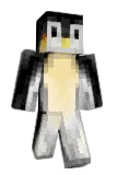 burnside2525 Minecraft avatar full body