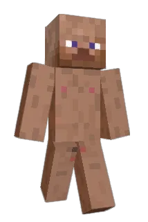 bushimin Minecraft avatar full body