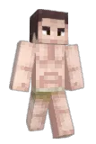bushtail Minecraft avatar full body