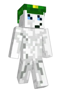bussqb Minecraft avatar full body
