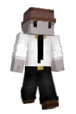buzbag Minecraft avatar full body