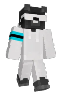 bvcg Minecraft avatar full body