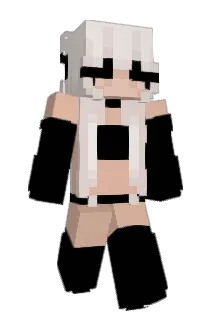 bvf_msmc_wi5 Minecraft avatar full body