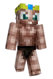bvvfinn Minecraft avatar full body