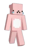 bwiq Minecraft avatar full body
