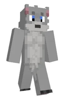 bwjr2 Minecraft avatar full body