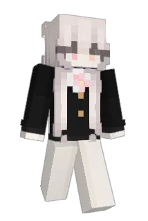 bwvb Minecraft avatar full body