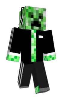 bwzr Minecraft avatar full body