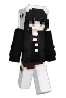 bxbioix Minecraft avatar full body