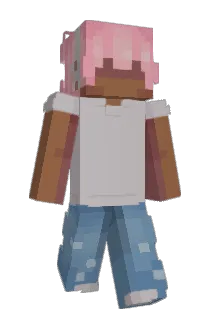 bxrgan Minecraft avatar full body