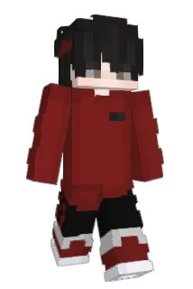 bxrtek1337 Minecraft avatar full body