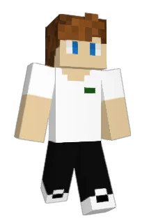 byNet_ Minecraft avatar full body
