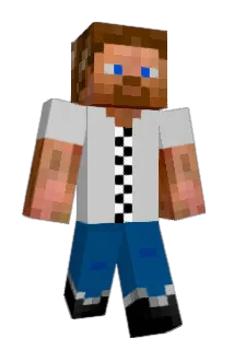 byqqu91 Minecraft avatar full body