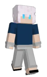 Minecraft skin — Classic model