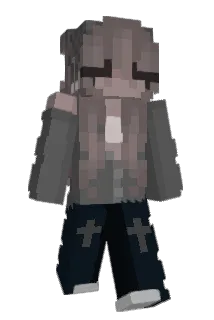 c00kes Minecraft avatar full body