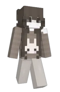Front of nwvy's skin