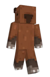 Front of bears__'s skin