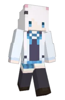 Front of vnll's skin