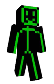 Skin preview