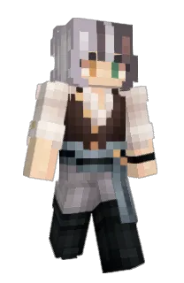 Front of Nesume's skin