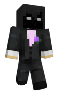 Front of Mediacy's skin