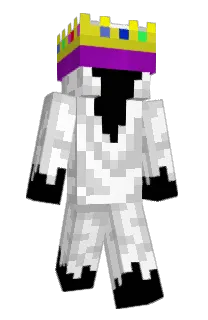 Front of Porg_64's skin