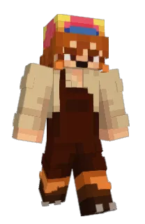 Front of Valsoid's skin