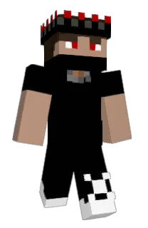 Front of TIMMYT753's skin