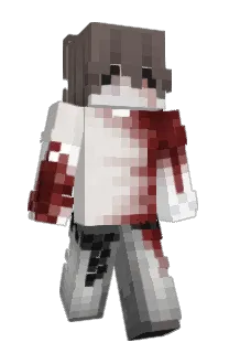 Front of Ashlog's skin