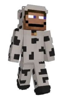 Front of cspe's skin
