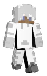 white and black Minecraft skin — Classic model