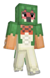 Skin preview