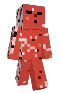 Front of Sa1iami's skin